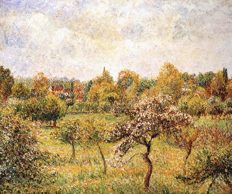 Camille Pissarro The apple trees on the lawn oil painting image